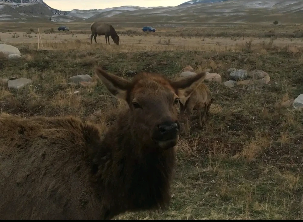 Image uploaded by Sean