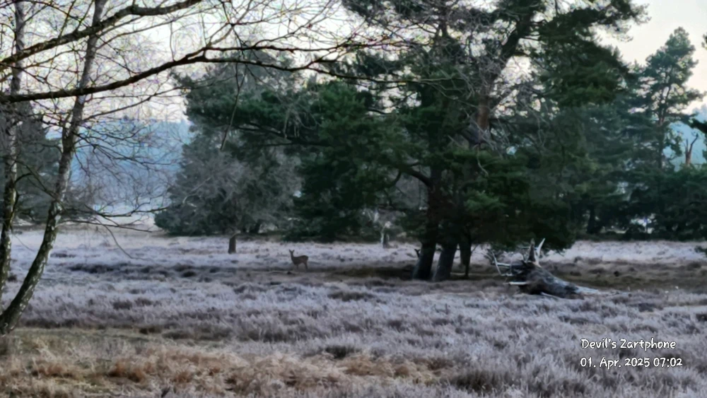 Bild hochgeladen von Devil