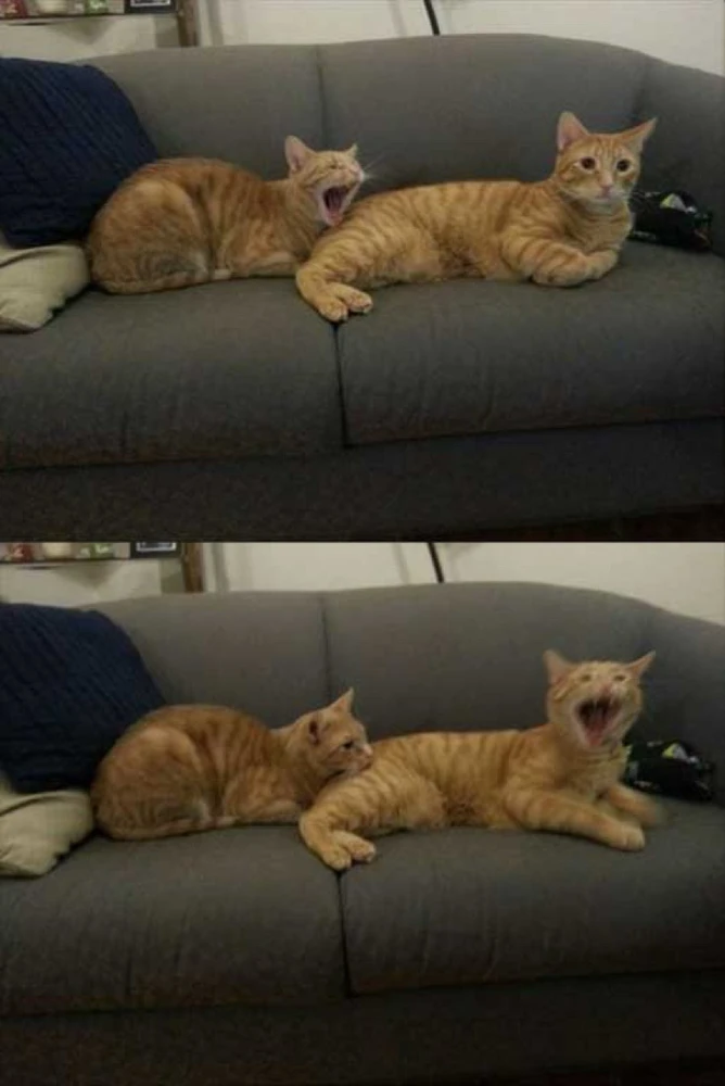 GIF hochgeladen von Felix