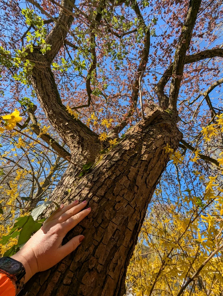 GIF dodany przez Agata J.