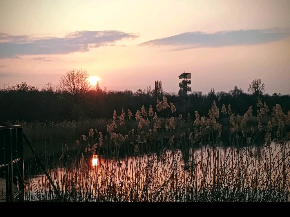 GIF dodany przez Grzegorz