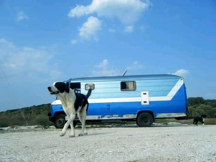 Image ajoutée par AudeKazoo