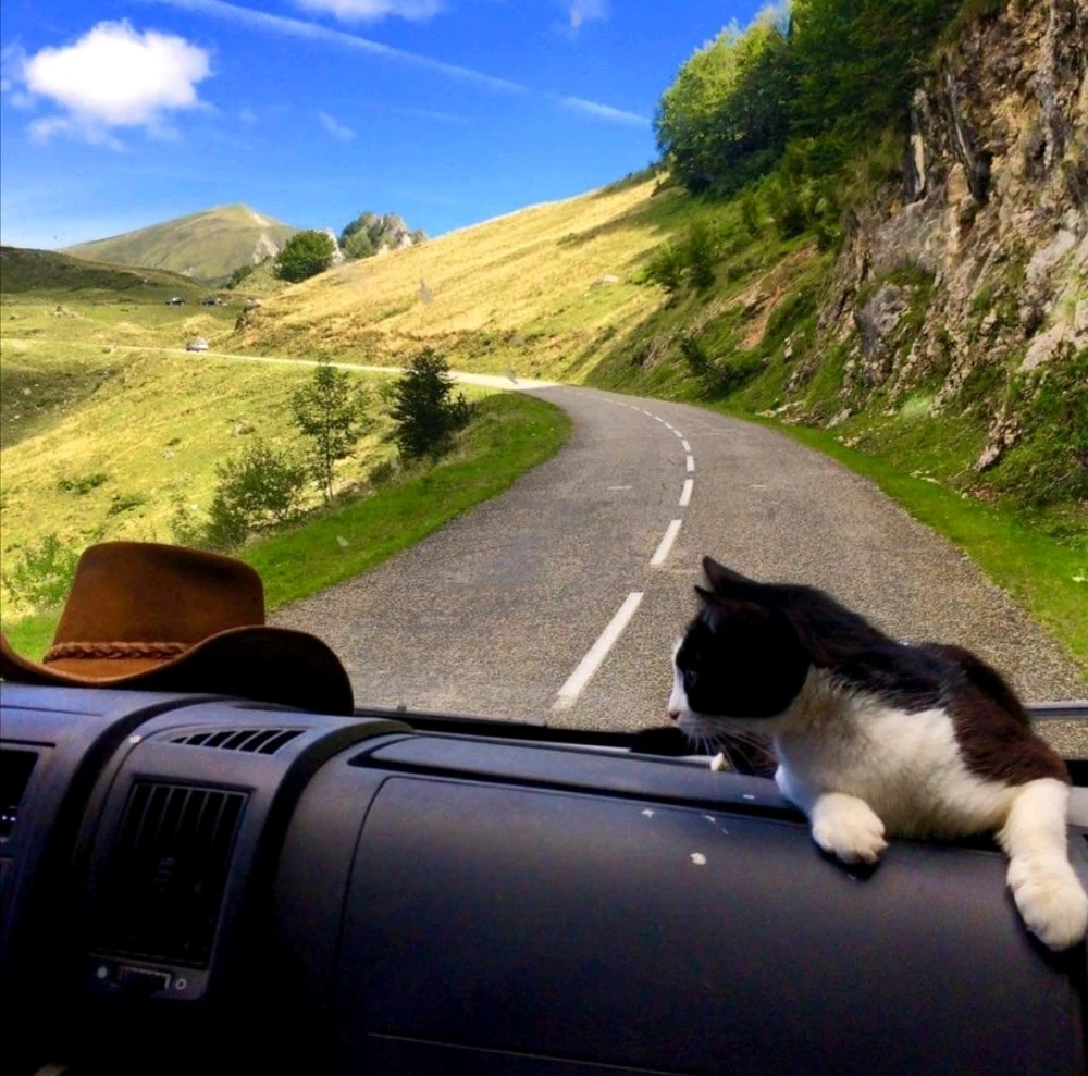 Image ajoutée par AudeKazoo