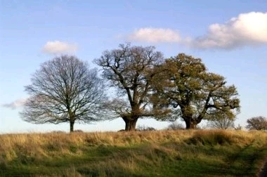 GIF dodany przez Umberto