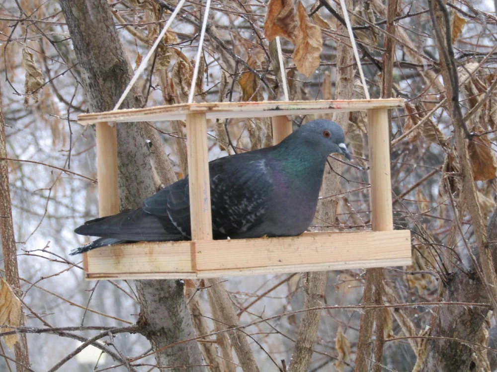 В смысле это не для меня?!