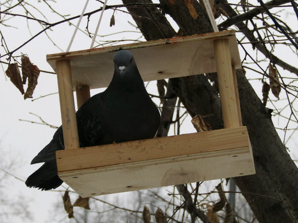 В смысле это не для меня?!