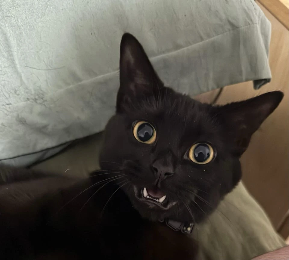 Image uploaded by vixen