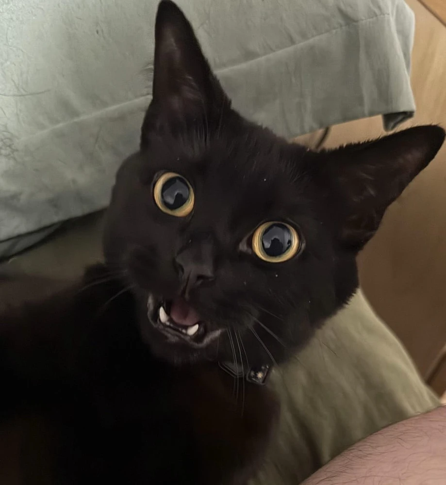 Image uploaded by vixen