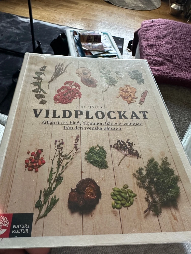 Bild uppladdad av Lix