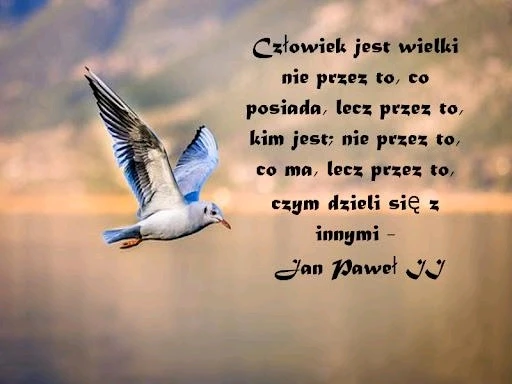 GIF dodany przez Umberto