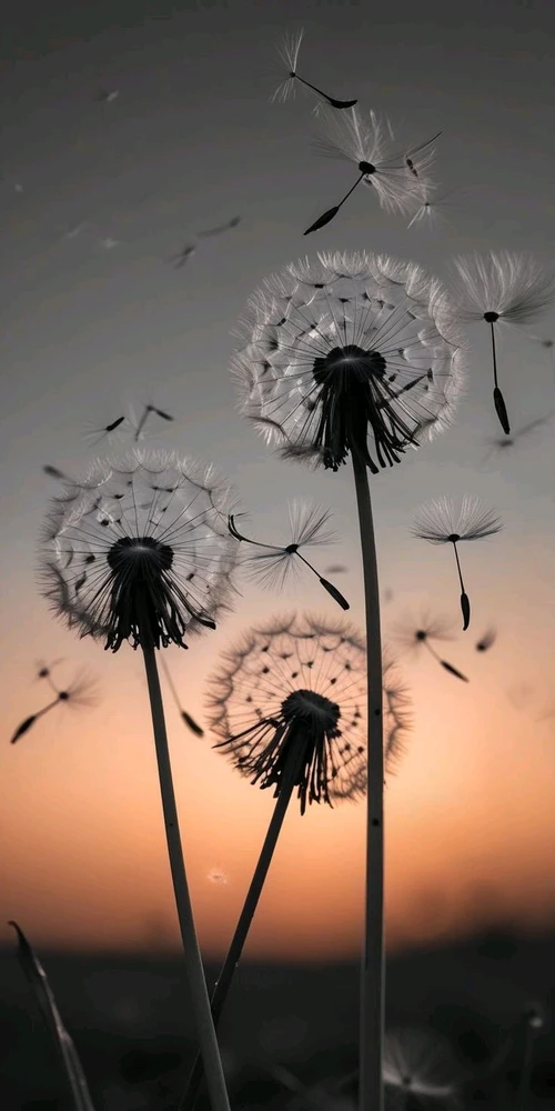 GIF diunggah dening Ree