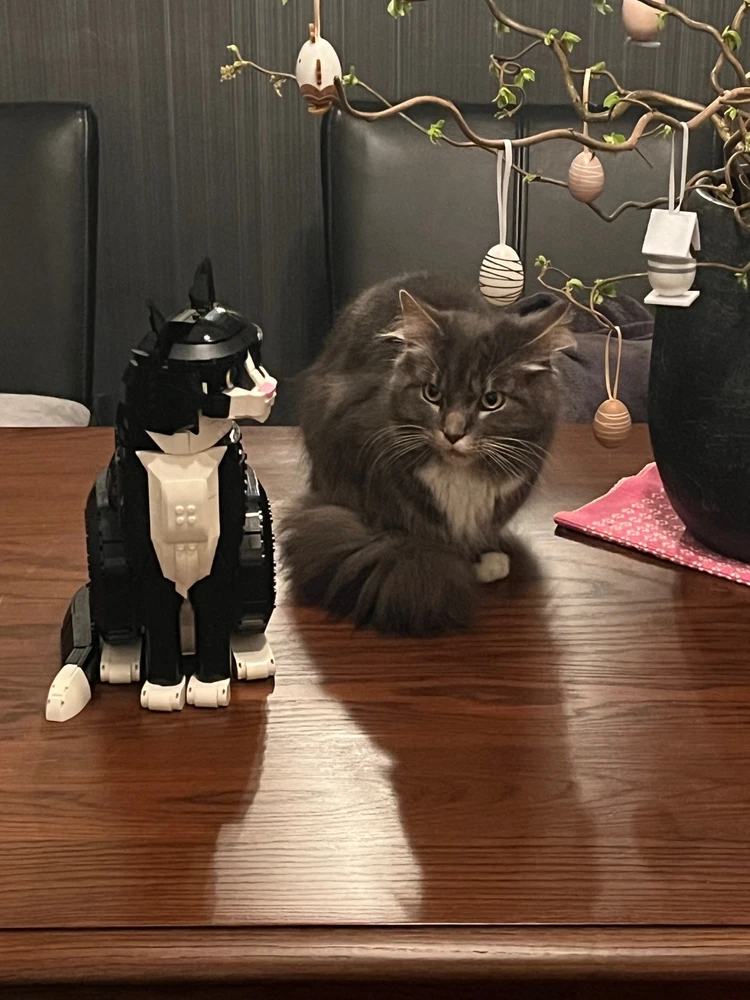 GIF geüpload door martijn