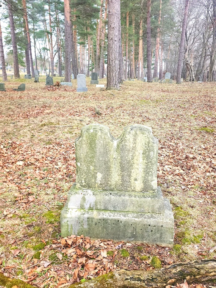 GIF uploaded by Timothy