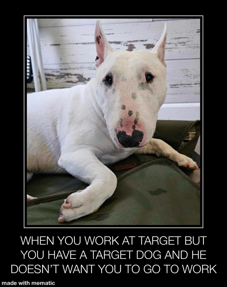 GIF uploaded by Emma