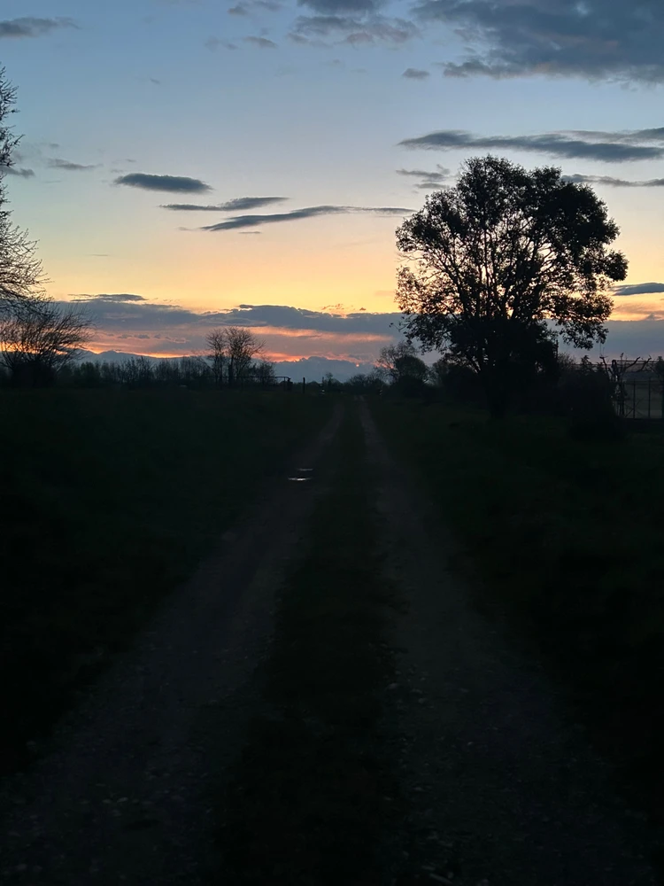 GIF enviado por Fabio