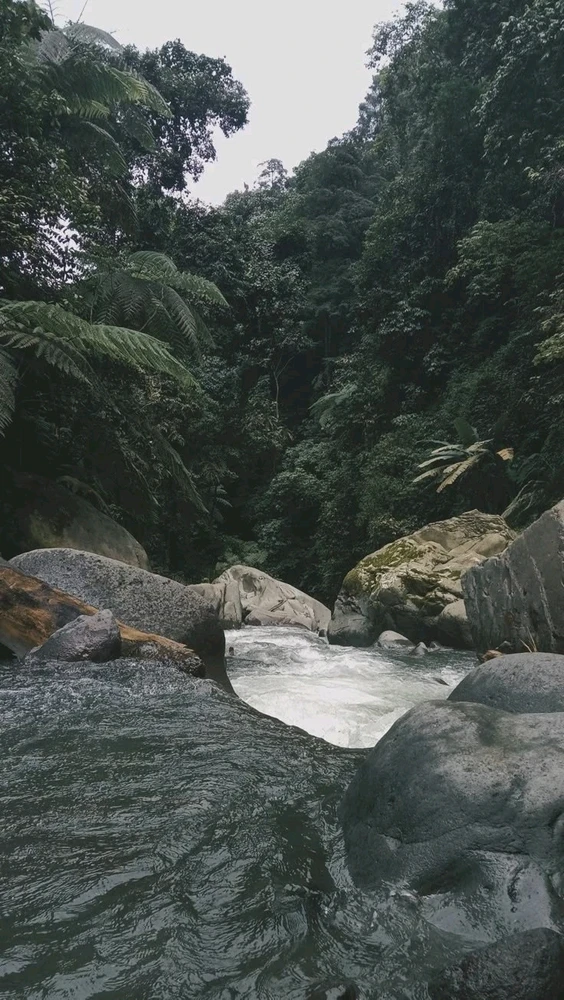 GIF diunggah oleh Pm