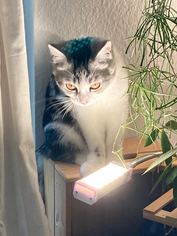 GIF uploaded by Victor