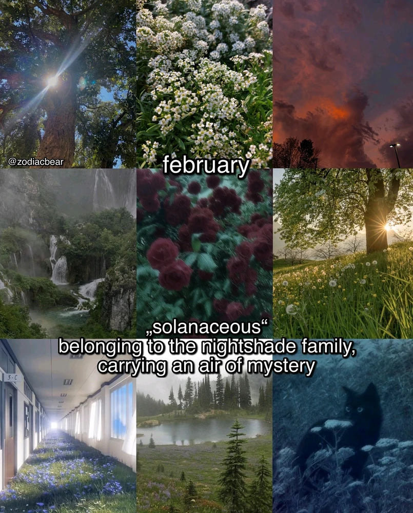 Image uploaded by SuSu