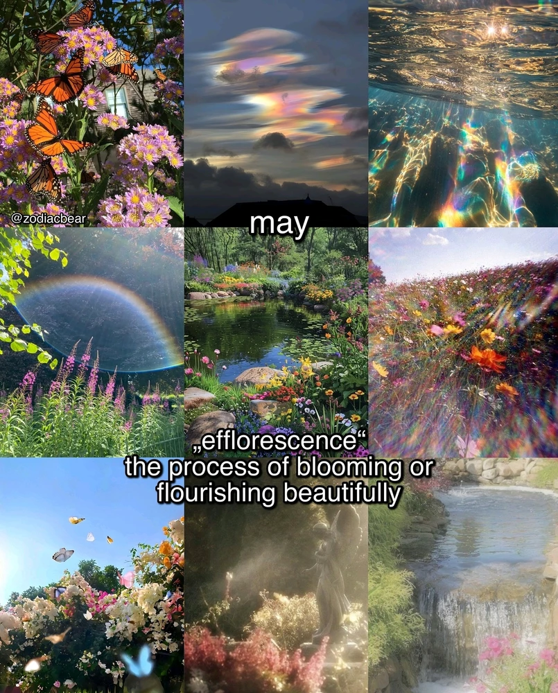 Image uploaded by SuSu