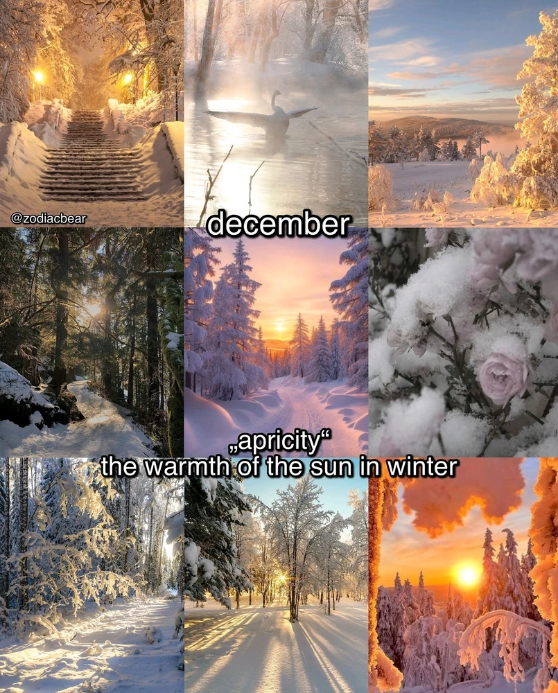 Image uploaded by SuSu