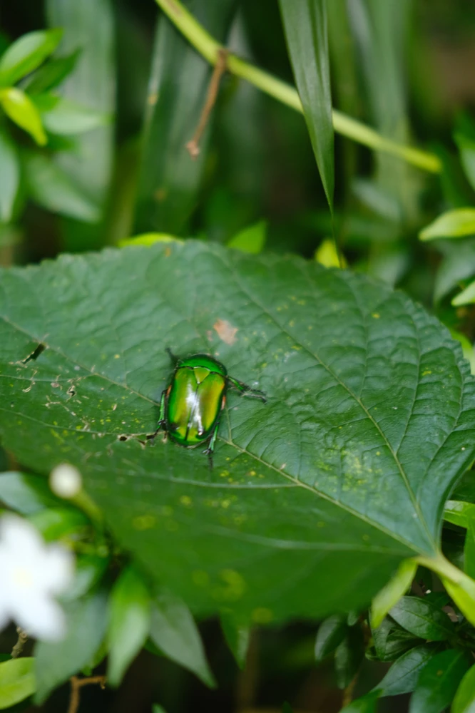 Image uploaded by Alo