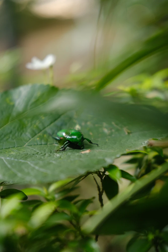 Image uploaded by Alo