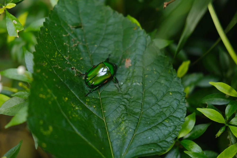 Image uploaded by Alo