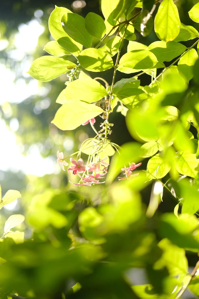 GIF uploaded by Alo
