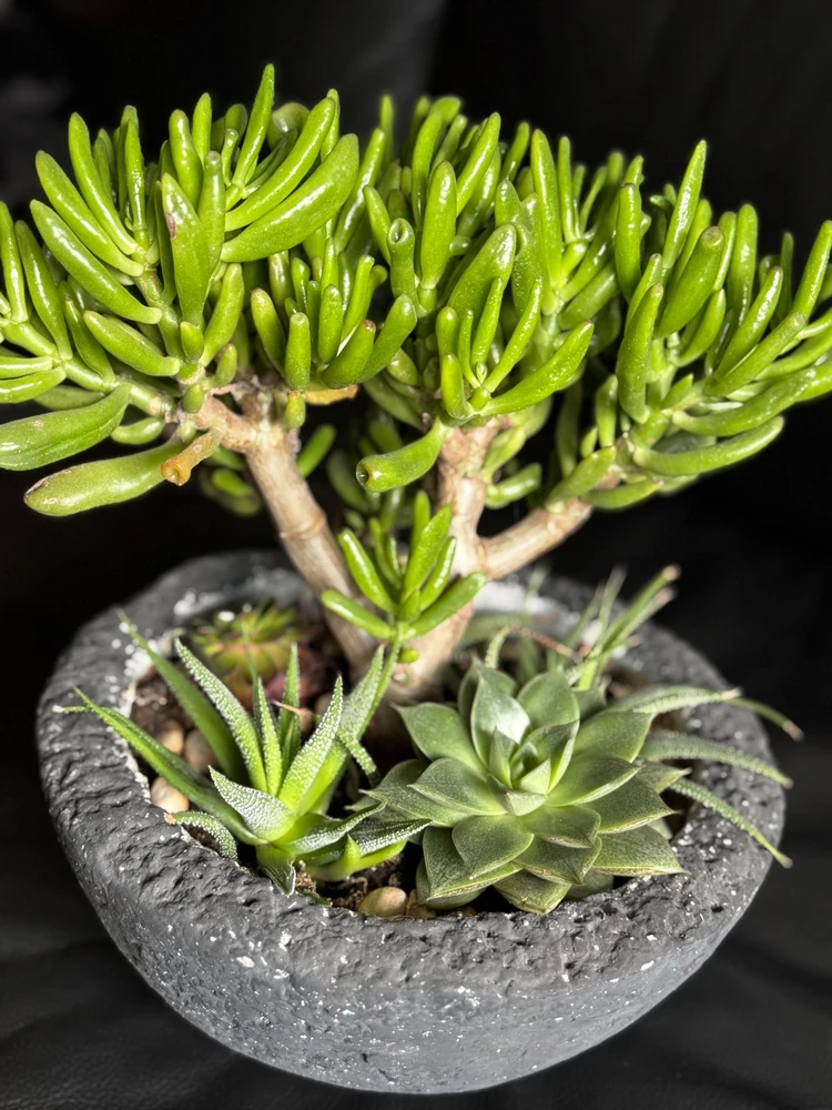 GIF diunggah dening Brittney