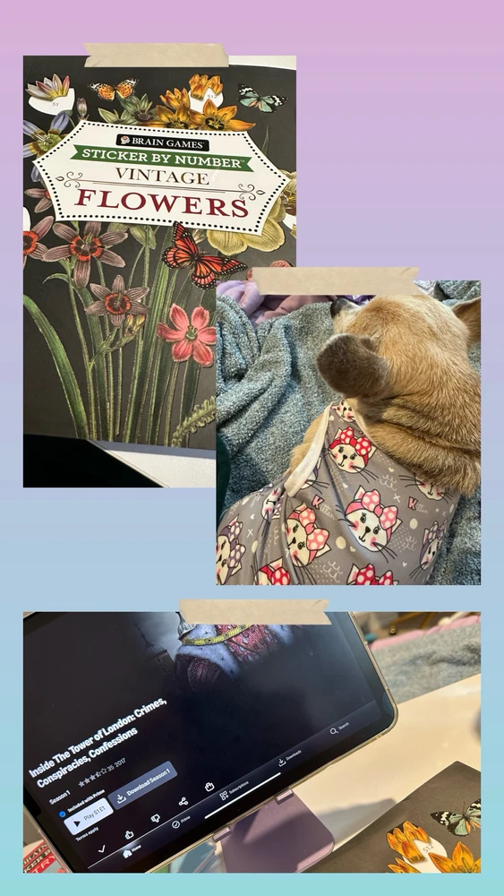 GIF uploaded by Yaira