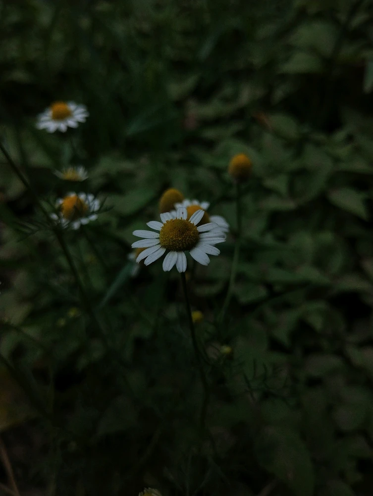 Image uploaded by Ursix