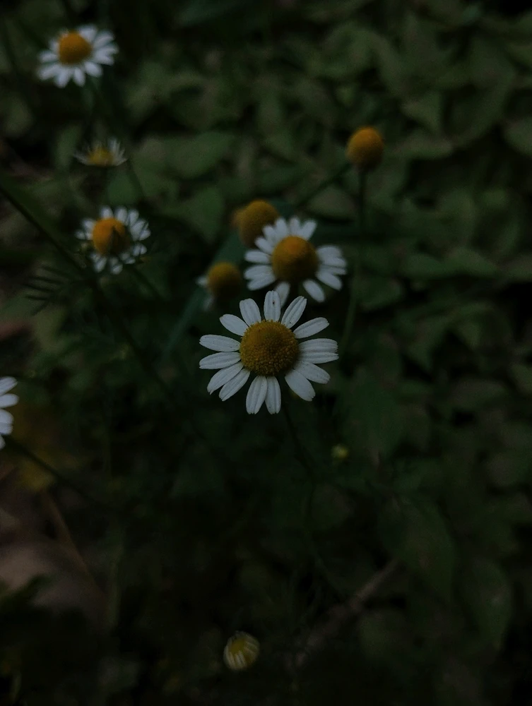 Image uploaded by Ursix