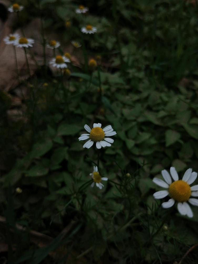 Image uploaded by Ursix