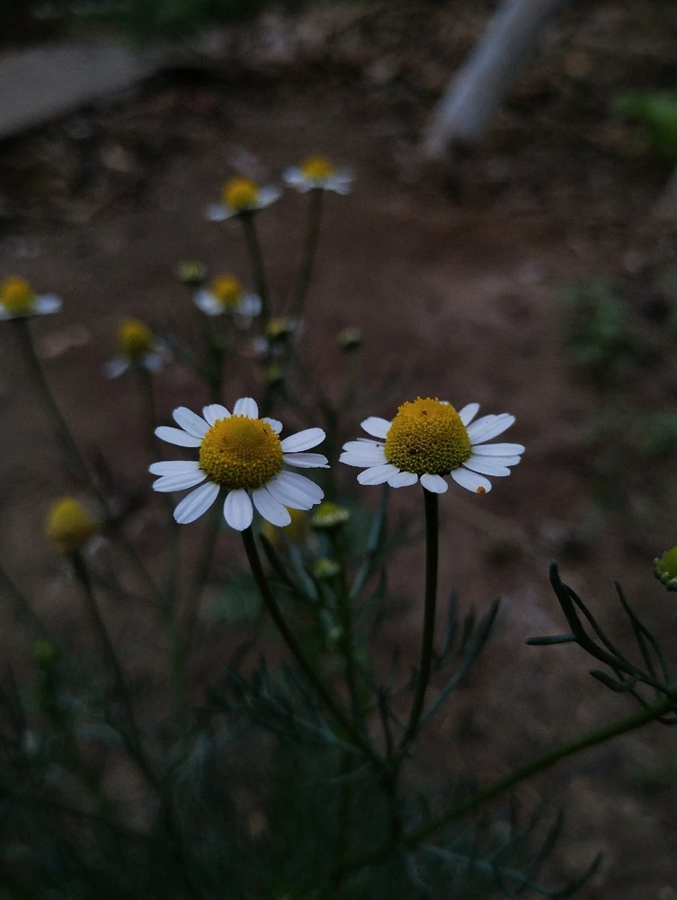 Image uploaded by Ursix