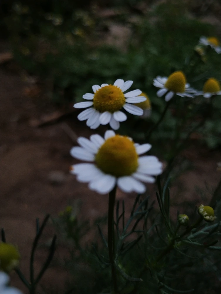 Image uploaded by Ursix