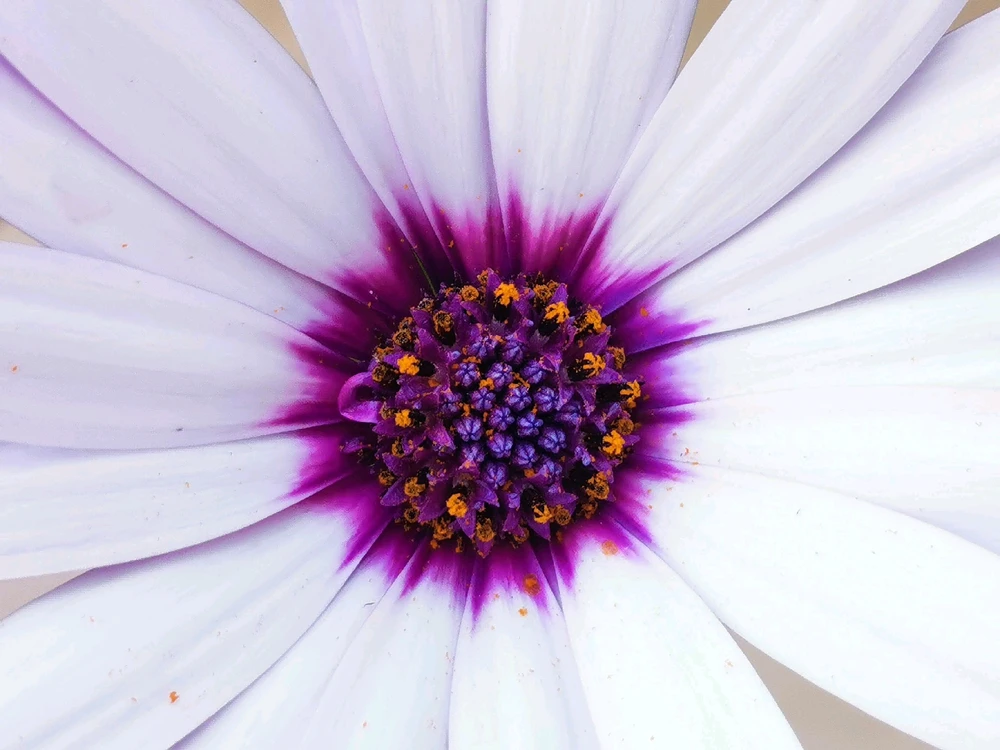 GIF ajouté par Eric