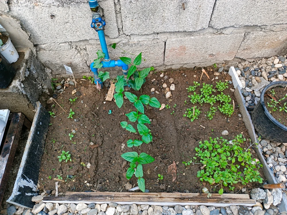 Image uploaded by Math