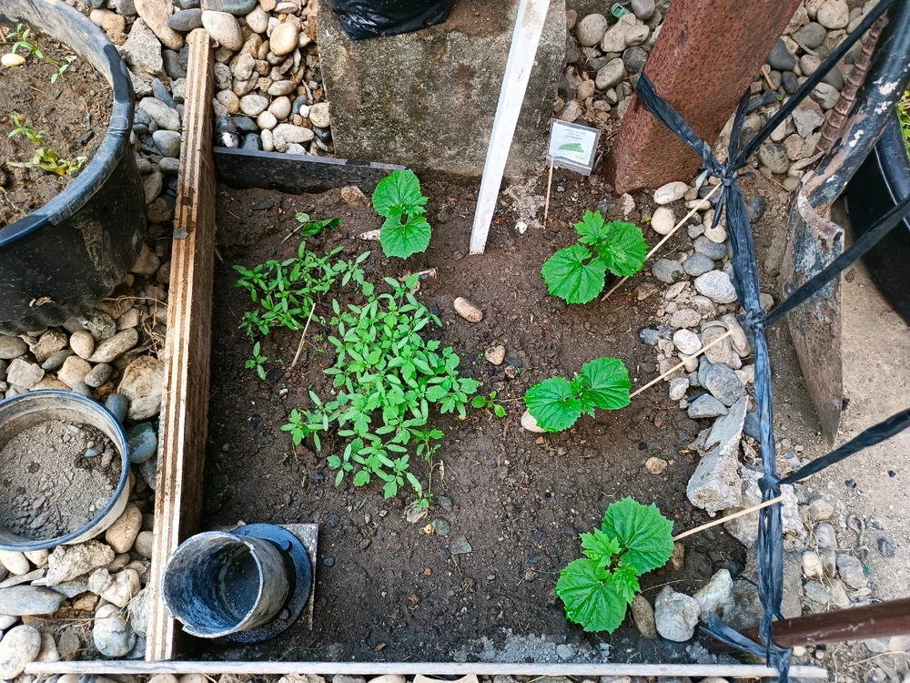 Image uploaded by Math