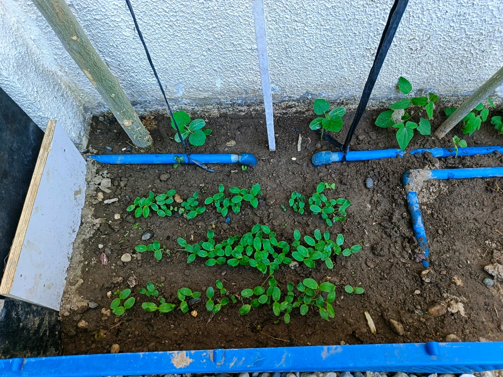 Image uploaded by Math