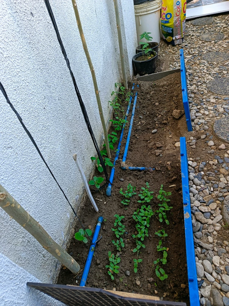 Image uploaded by Math