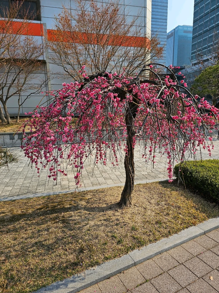 GIF uploaded by Varun