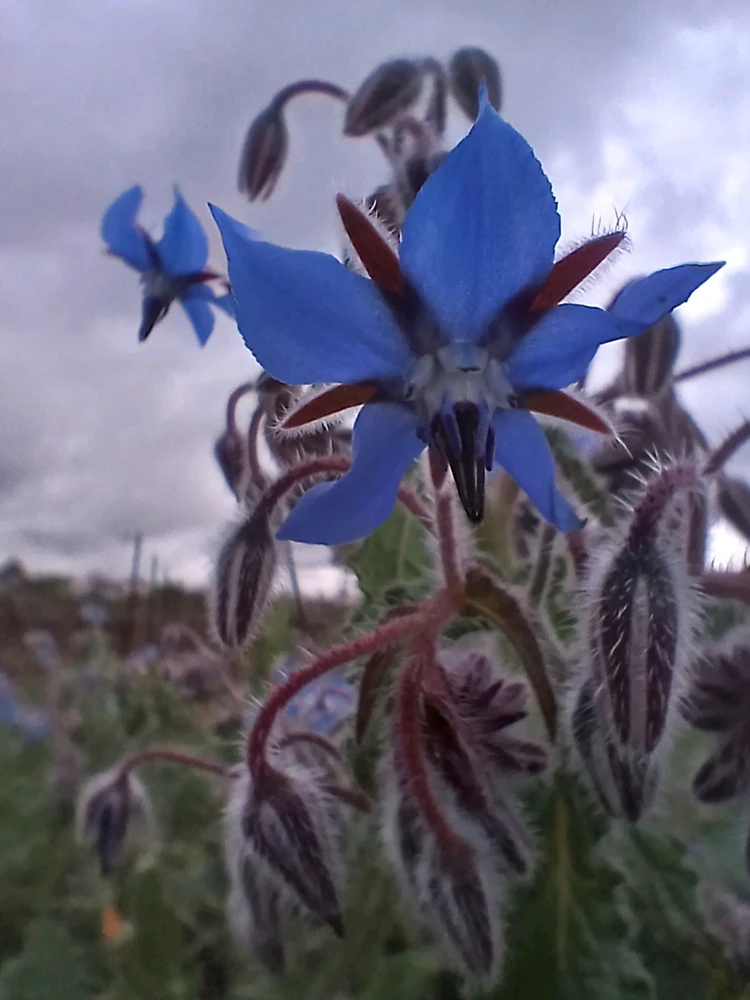 GIF ajouté par Rick