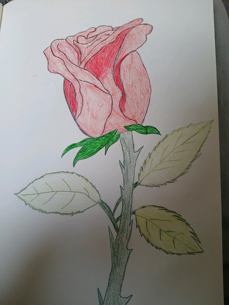 GIF geüpload door Joost