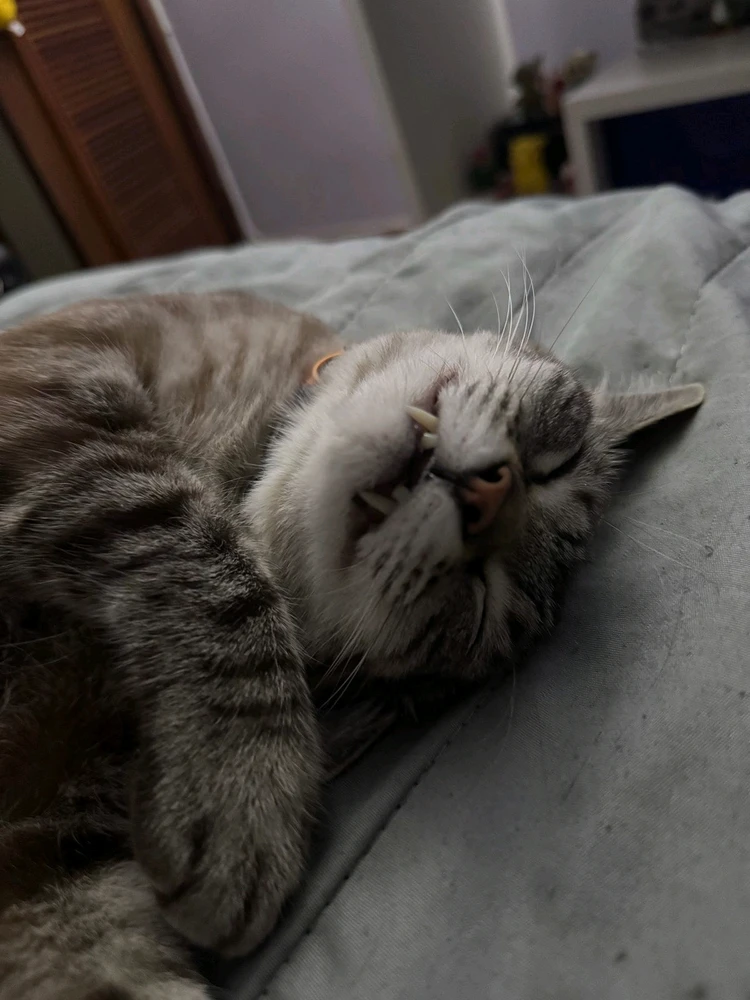 GIF uploaded by Seán