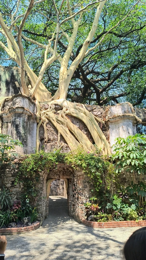 Una buena visita a la ex hacienda de cortes~. Cuernavaca, Morelos.