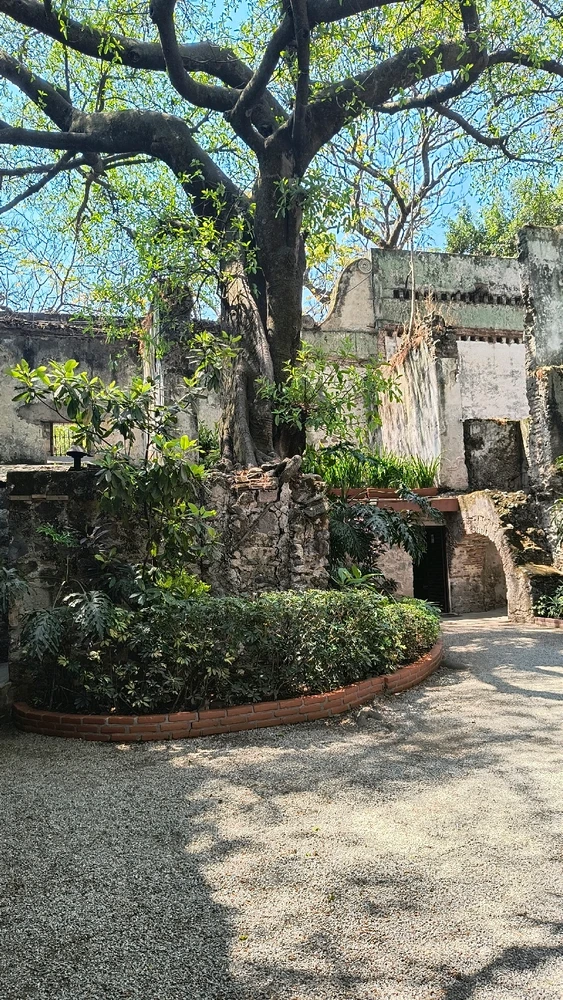Una buena visita a la ex hacienda de cortes~. Cuernavaca, Morelos.