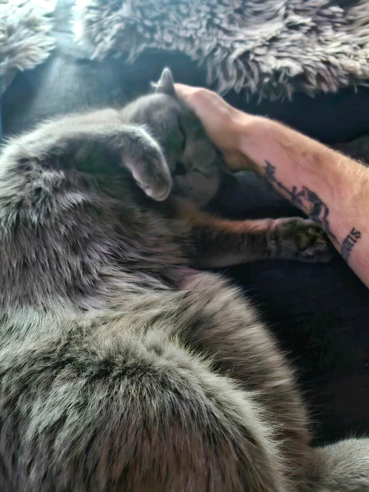 Bild hochgeladen von Max