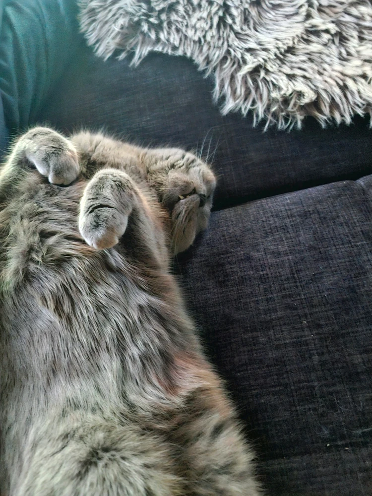 Bild hochgeladen von Max