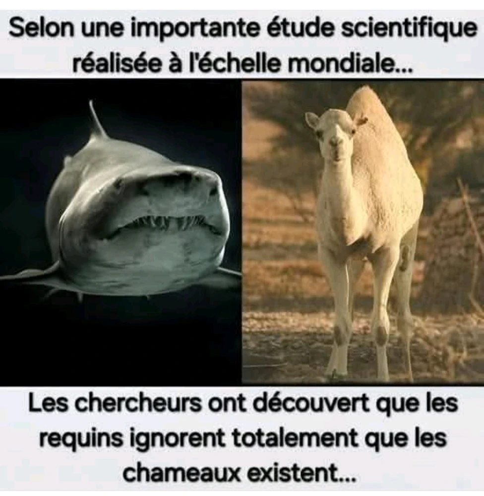 GIF ajouté par Fred