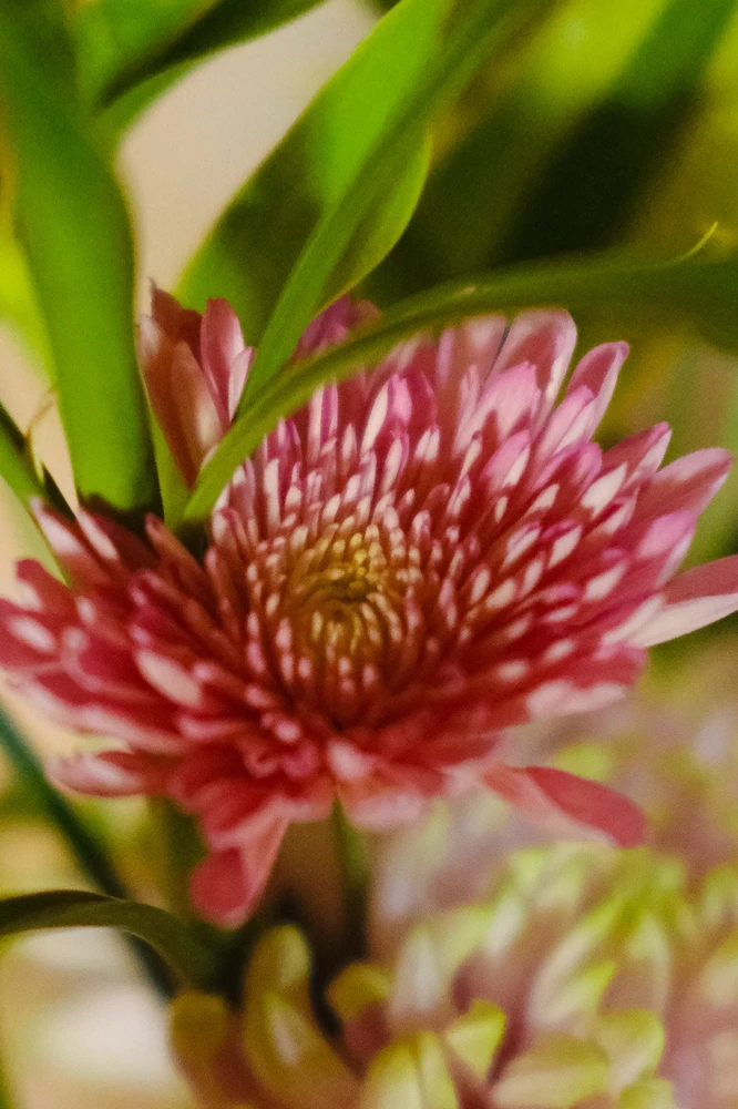 Image uploaded by Alo